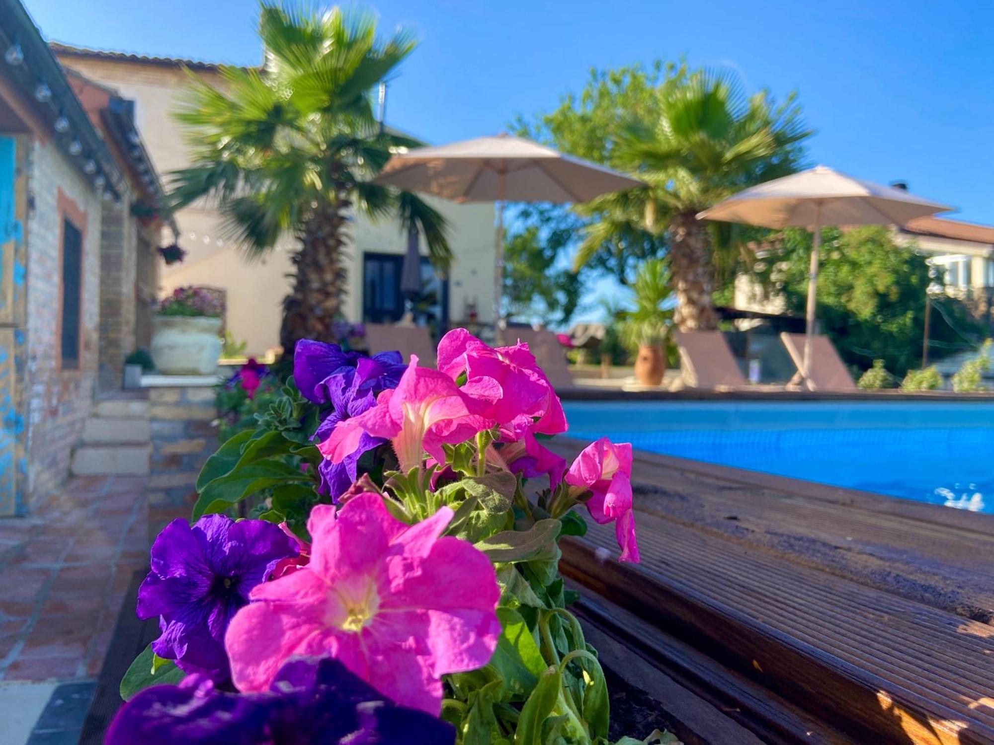 Bed And Adventure Tramontana Resort - Casetta & Wellness Castilenti Exterior foto